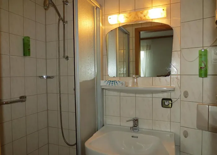 & Restaurant Mainaublick ホテル 3*